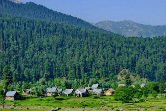 Exotic Jammu