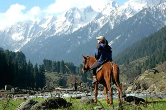 Horse Riding in Gulmarg