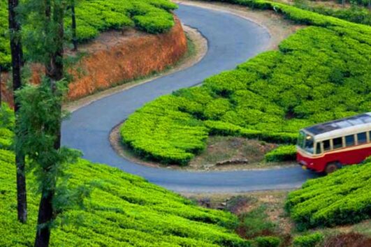Nature's Bounty and Leisure in Kerala